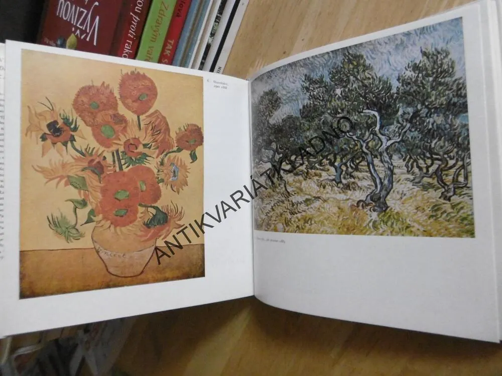 VINCENT VAN GOGH, DOPISY PŘÁTELŮM, **an