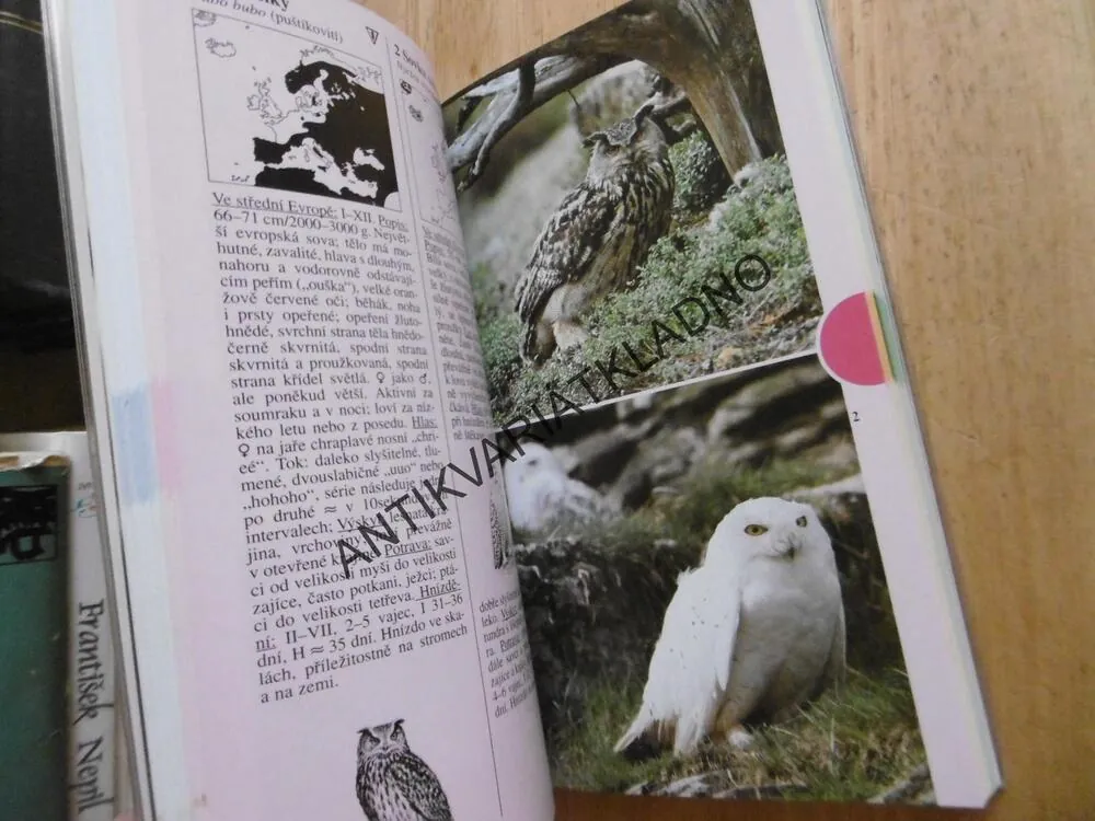 PTÁCI, KAPESNÍ ATLAS, J. NICOLAI, D. SINGER, K. WOTHE, **an