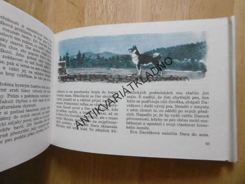 DAR, PETR PAVLÍK, **an