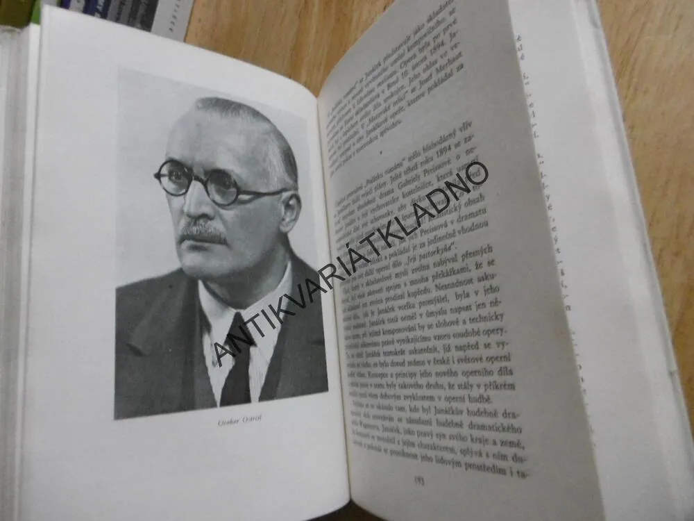 Z ČESKÝCH LUHŮ DO SVĚTA, PRŮKOPNÍCI ČESKÉ HUDBY, JOSEF TEICHMAN, **an