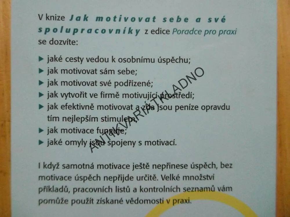 JAK MOTIVOVAT SEBE A SVÉ SPOLUPRACOVNÍKY, RAINER NIERMEYER, MANUEL SEYFFERT, **an