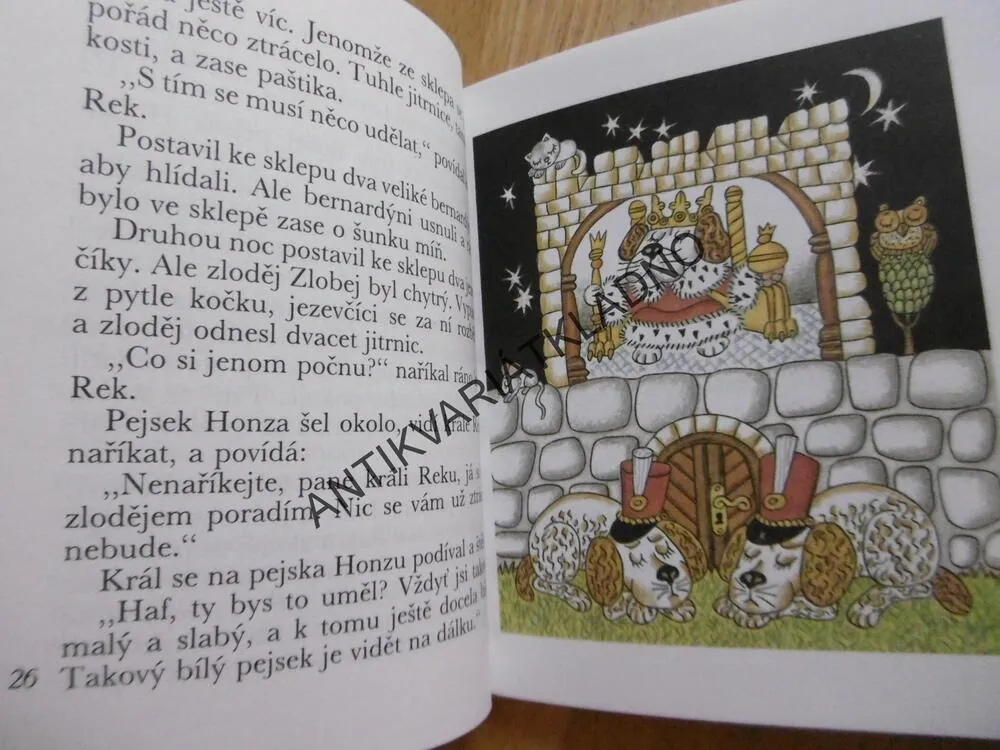 NEVIDITELNÁ ZUZANKA, PRVNÍ ČTENÍ, EDUARD PETIŠKA, HELENA ZMATLÍKOVÁ, **an