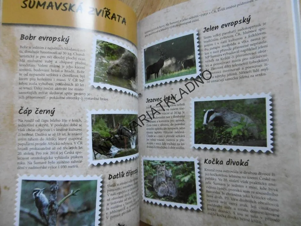 HURÁ NA ŠUMAVU, PRŮVODCE PRO DĚTI I RODIČE, ŠUMAVA