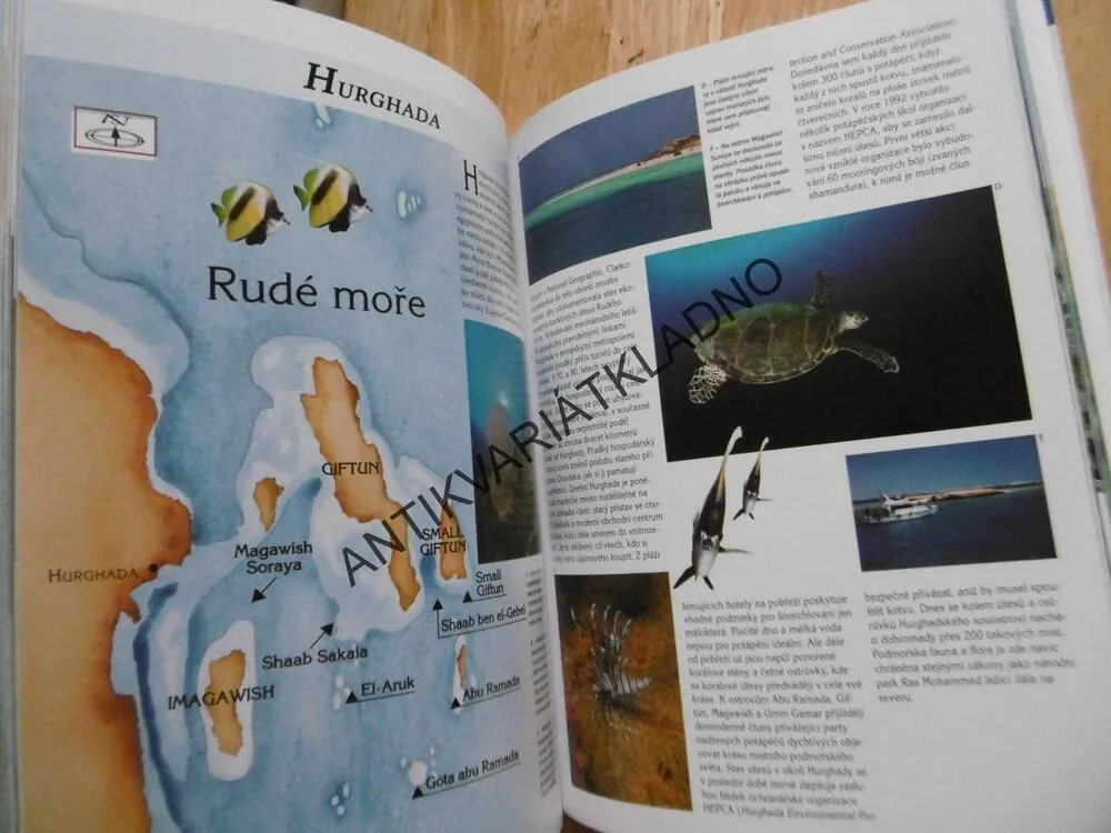 ŠNORCHLOVÁNÍ V RUDÉM MOŘI, PŘÍRUČKA POTÁPĚČE, CLAUDIO CANGINI, NADIA ALZANI, **an