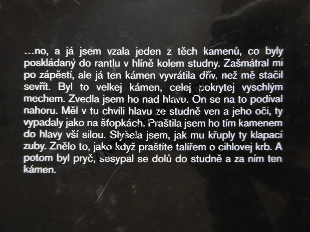 DOLORES CLAIBORNEOVÁ, STEPHEN KING, **an