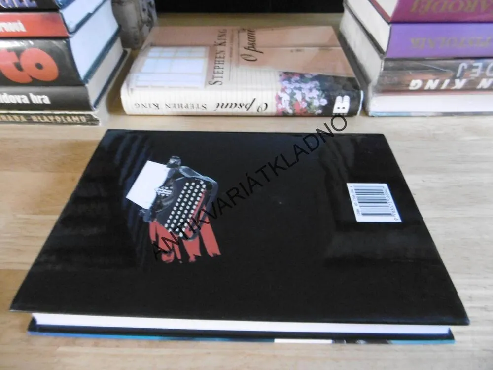 MISERY, STEPHEN KING, **an