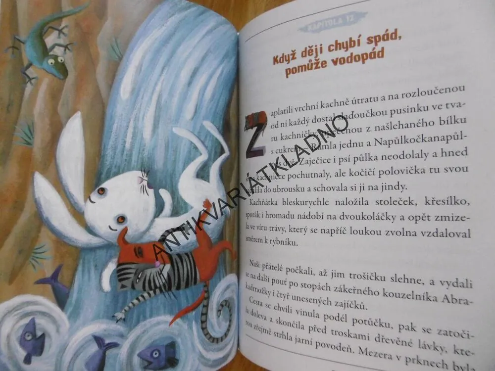 NAPŮLKOČKANAPŮLPES, ALŽBĚTA STANKOVÁ, PETR STANČÍK, **an