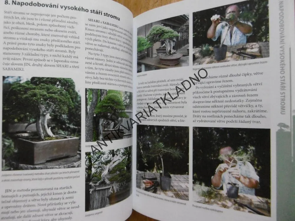 BONSAJE, VŠE O PĚSTOVÁNÍ A TVAROVÁNÍ, MILOSLAV RYŠÁN, **an