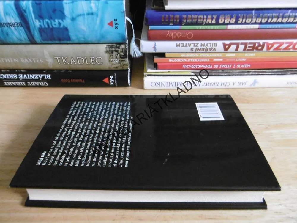 POVÍDKY, ERNEST HEMINGWAY, **an