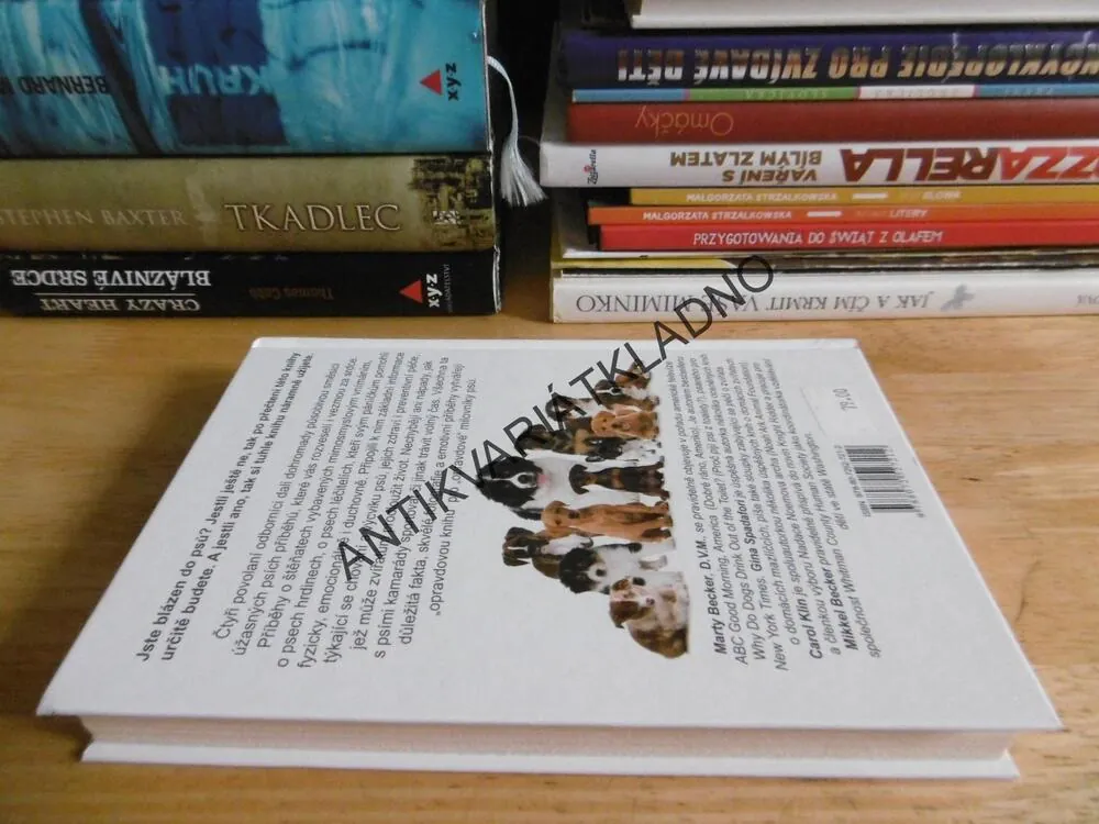 VELKÁ PSÍ LÁSKA, MARTY BECKER, GINA SPADAFORI, CAROL KLINE, MIKKEL BECKER, **an