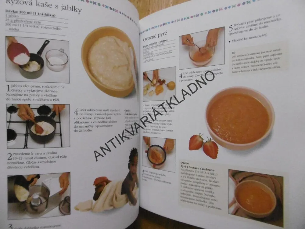 JAK A ČÍM KRMIT VAŠE MIMINKO, SARA LEWISOVÁ, **an