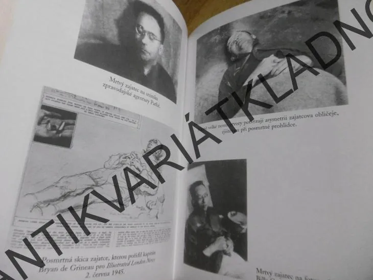 HEINRICH HIMMLER - NEPRAVDĚPODOBNÁ SMRT, SS-1, HUGH THOMAS,