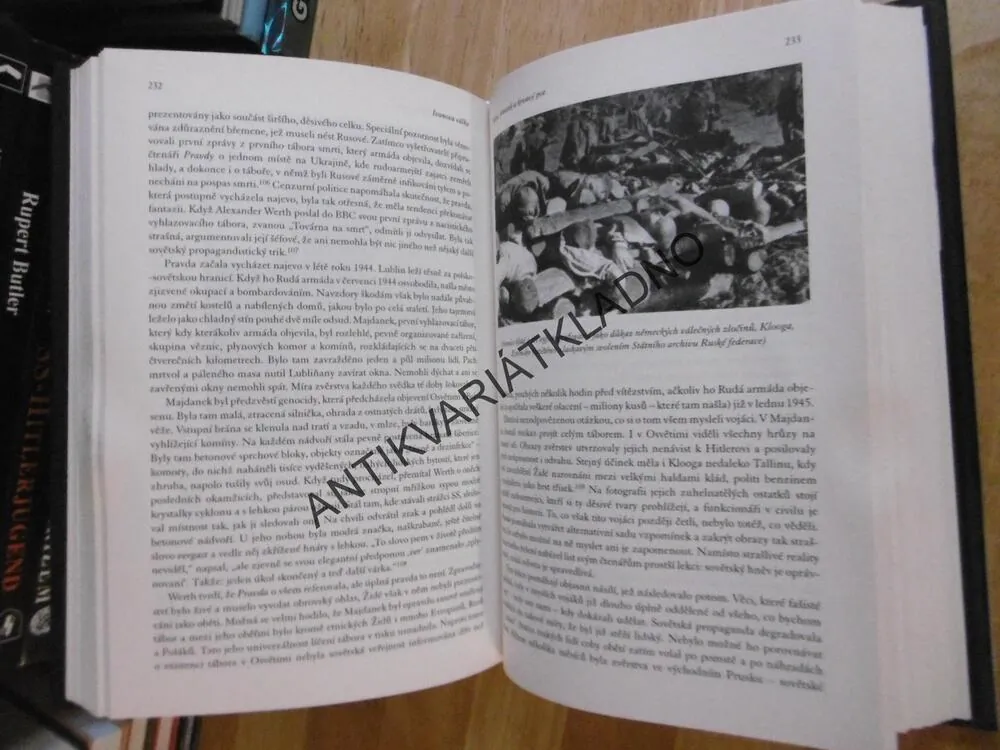 IVANOVA VÁLKA, RUDÁ ARMÁDA, 1939-45, CATHERINE MERRIDALEOVÁ, **an
