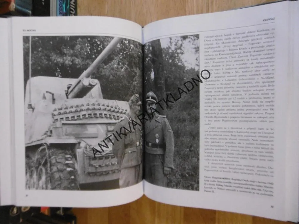 WIKING, HISTORIE PÁTE DIVIZE SS V LETECH 1940-1945, RUPERT BUTLER, **an