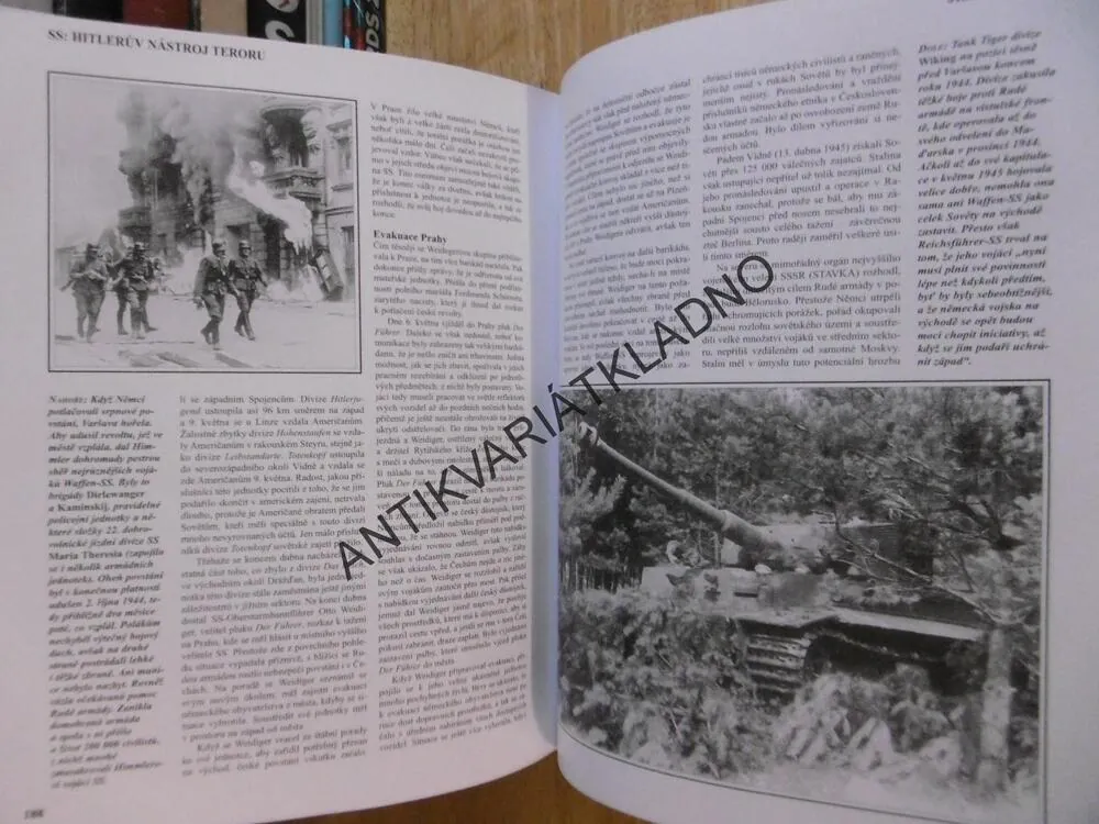 SS: HITLERŮV NÁSTROJ TERORU, UCELENÁ HISTORIE OD POULIČNÍCH BOJŮVEK K WAFFEN-SS, **an