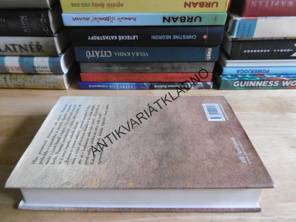 KNIHA LÁSKY, KATHLEEN MCGOWANOVÁ, **an