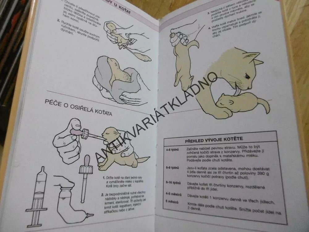 VAŠE KOČKA A KOŤÁTKO, DAVID ALDERTON, **an
