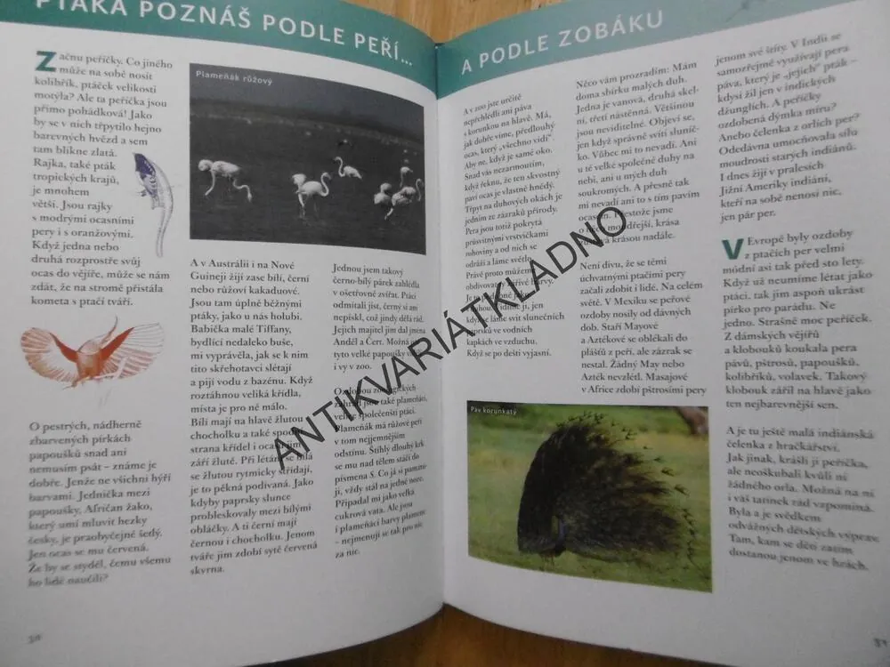 ŽIVOT NENÍ PEŘÍČKO, IRENA GÁLOVÁ, POVÍDÁNÍ O PTÁCÍCH, **an