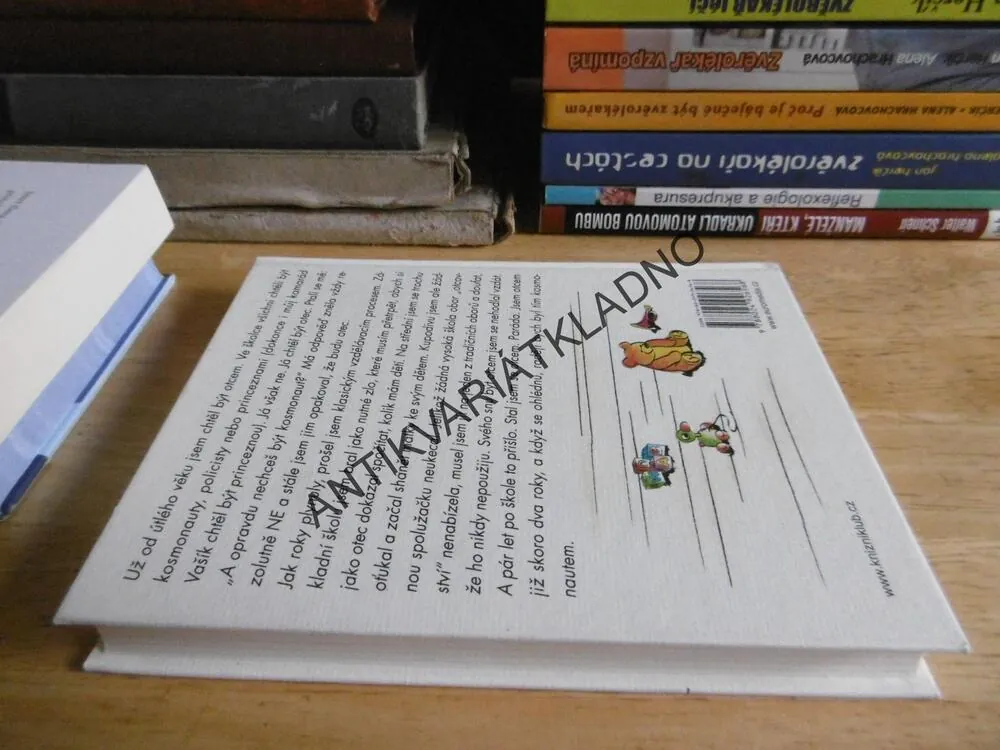 DENÍČEK MODERNÍHO FOTRA ANEB PROČ BY MUŽI NEMĚLI MÍT DĚTI, DOMINIK LANDSMAN, **an