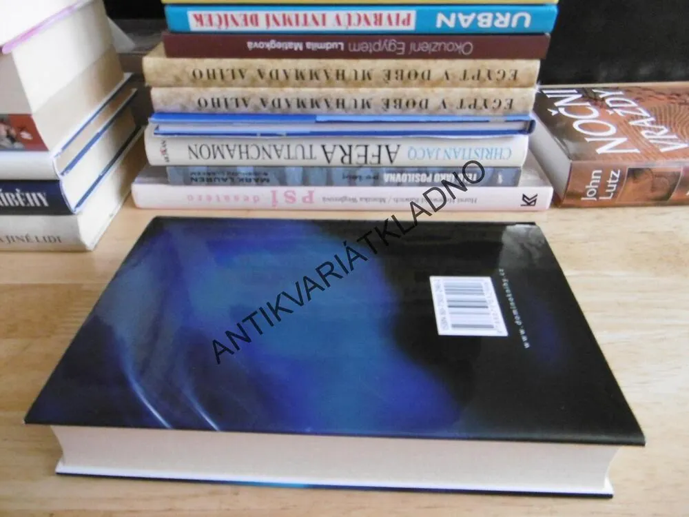 NOČNÍ PAVOUK, JOHN LUTZ, **an