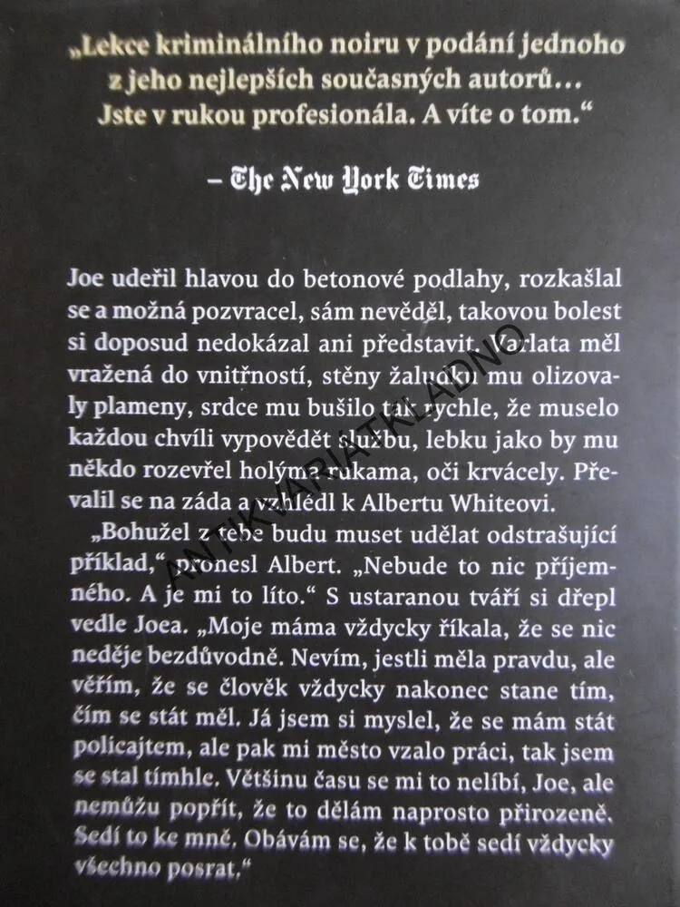 POD ROUŠKOU NOCI, DENNIS LEHANE, **an