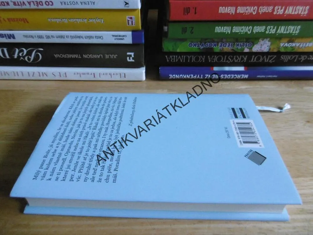 RADY PÁNU BOHU, JAK VYLEPŠIT SVĚT, ALEŠ PALÁN, JAN HRUBÝ, **an