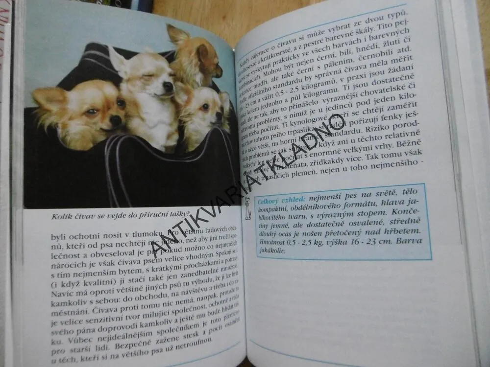 PSI DO KAPSY, LEA SMRČKOVÁ,  **an