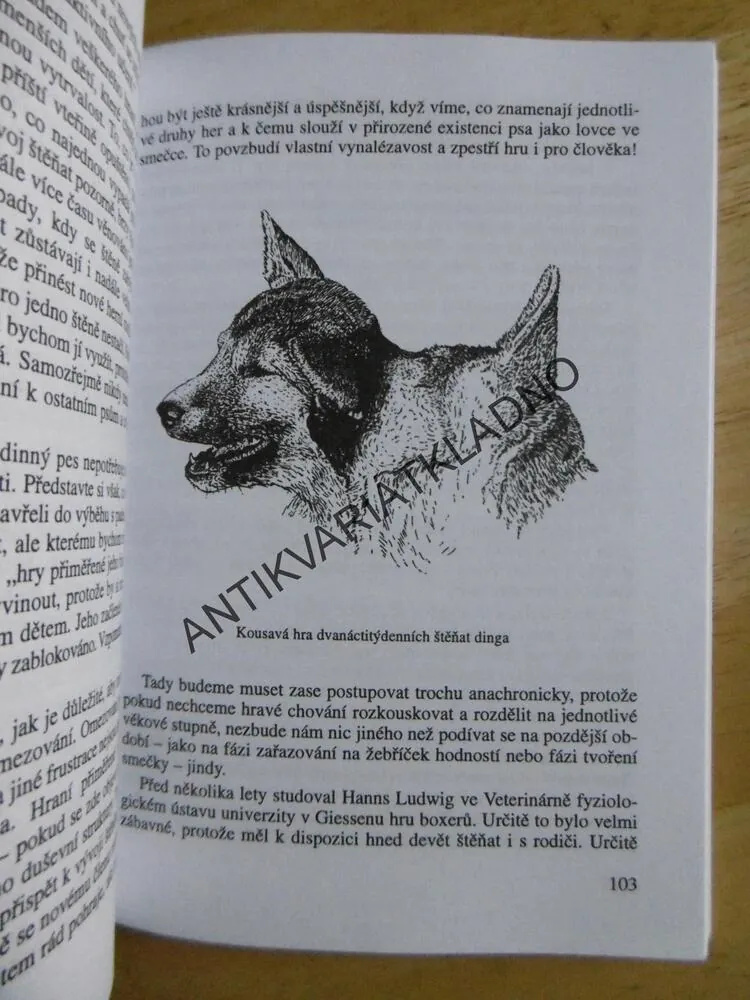 TYKÁME SI SE PSEM, EBERHARD TRUMLER, 