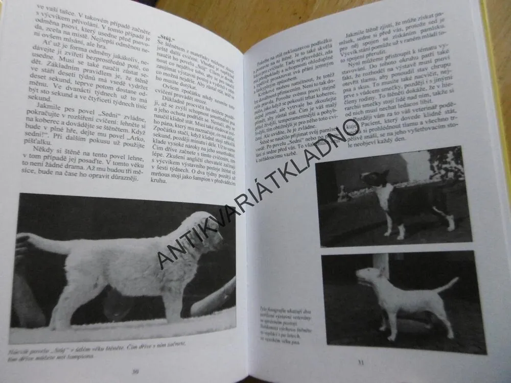 VÝCHOVA PSA OD A DO Z, HEINZ GAIL, **an