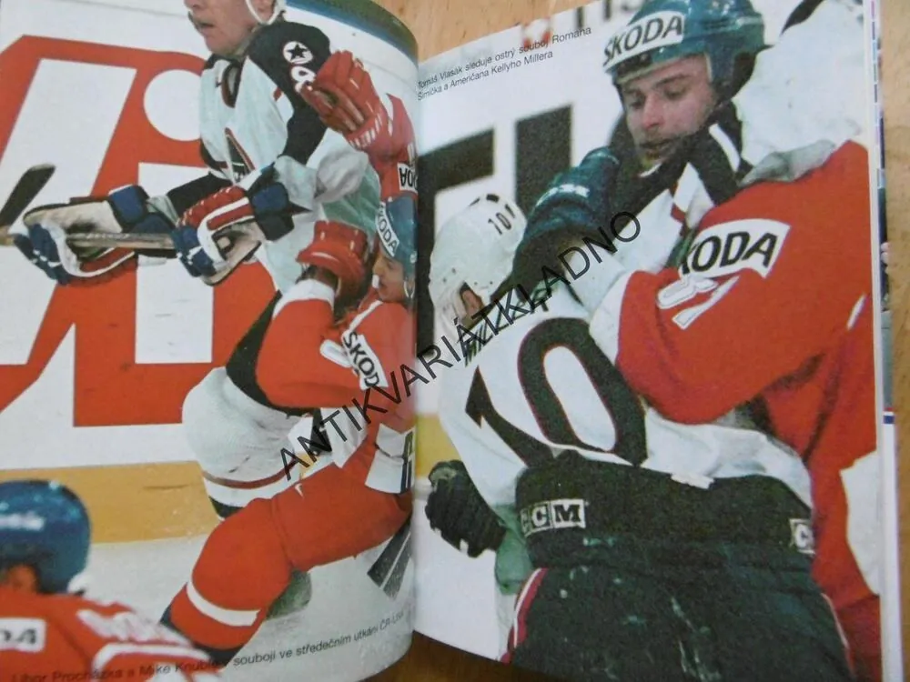 MISTŘI!!!, CESTA NAŠICH HOKEJISTŮ ZA ZLATEM NA MS 1999 V NORSKU, **an