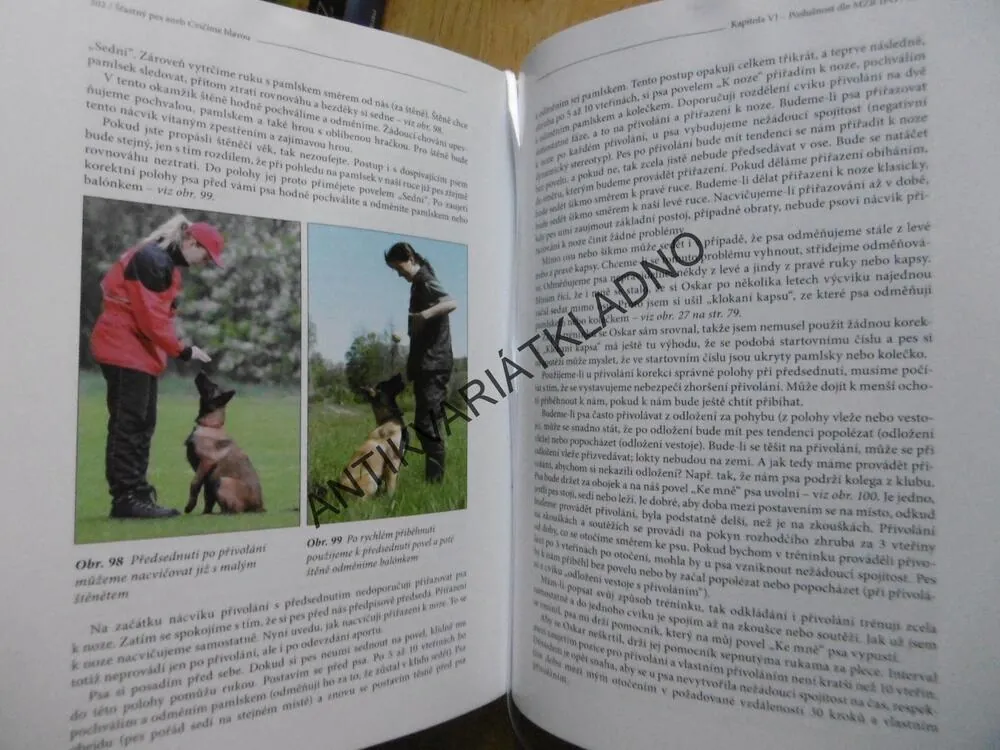 ŠTASTNÝ PES ANEB CVIČÍME HLAVOU, 1. DÍL, LADISLAV MACH, **an