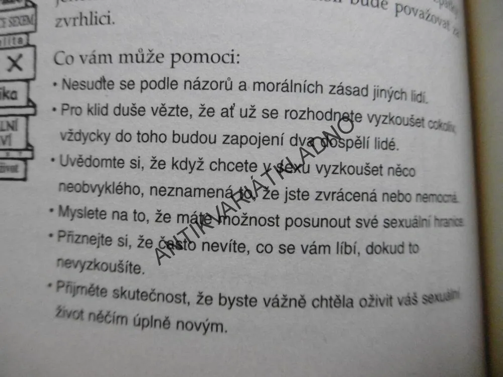 PRŮVODCE PRO NESMĚLÉ DÍVKY, JAK NA PĚKNÝ SEX, ANITA NAIK, **an
