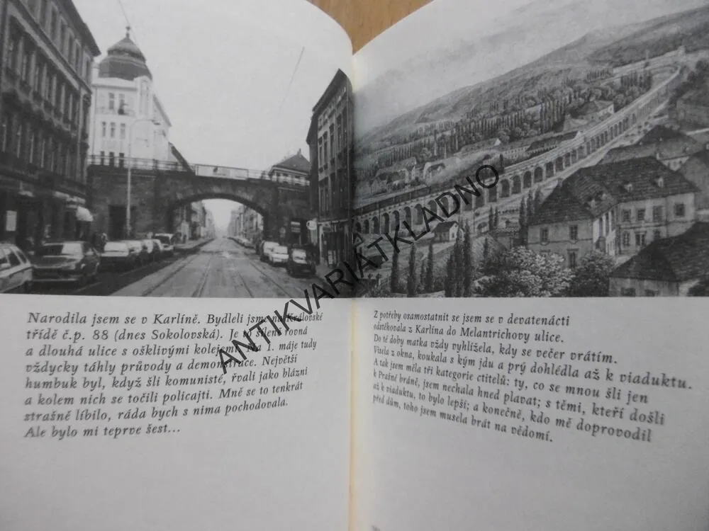 KAVÁRNA NAD PRAHOU, LENKA REINEROVÁ, **an