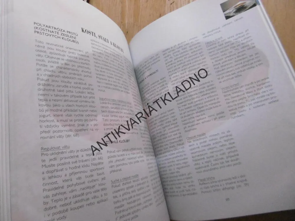 ÁJURVÉDA PRO KAŽDÝ DEN, ERNST SCHROTT, **an