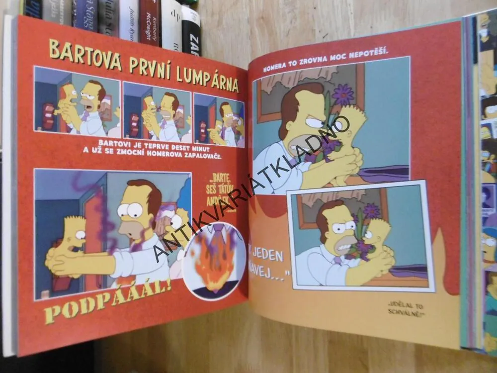 SIMPSONOVI, RODINNÁ HISTORIE, OSLAVA OBLÍBENÉ TELEVIZNÍ RODINY, MATT GROENING, **an
