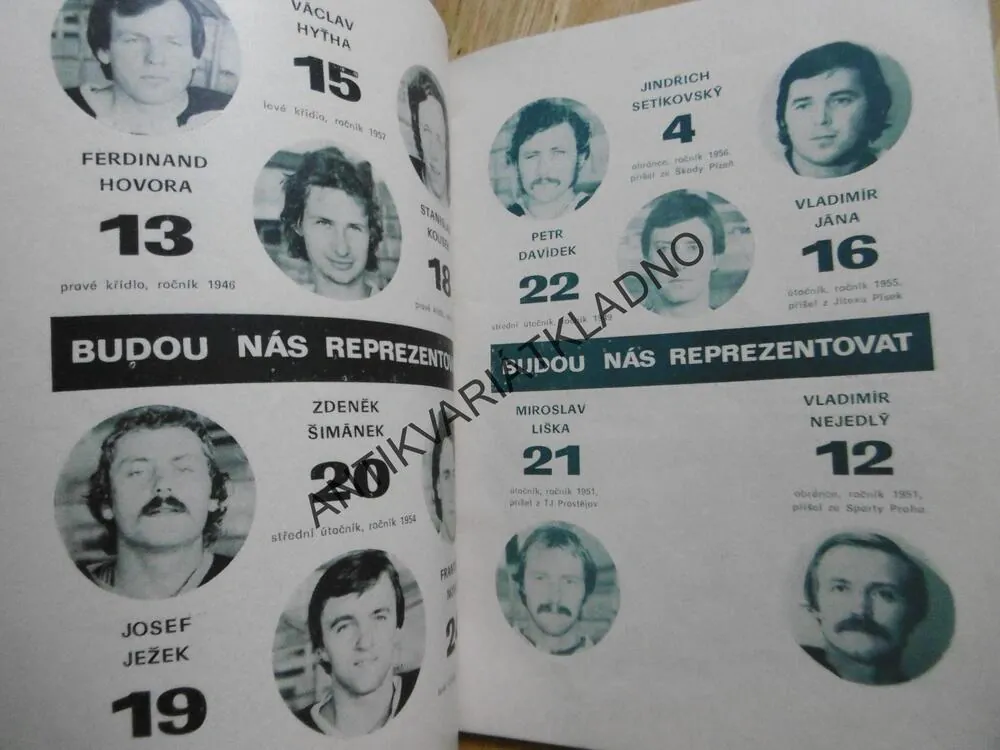 TJ ZVZ MILEVSKO 1979-80, LEDNÍ HOKEJ