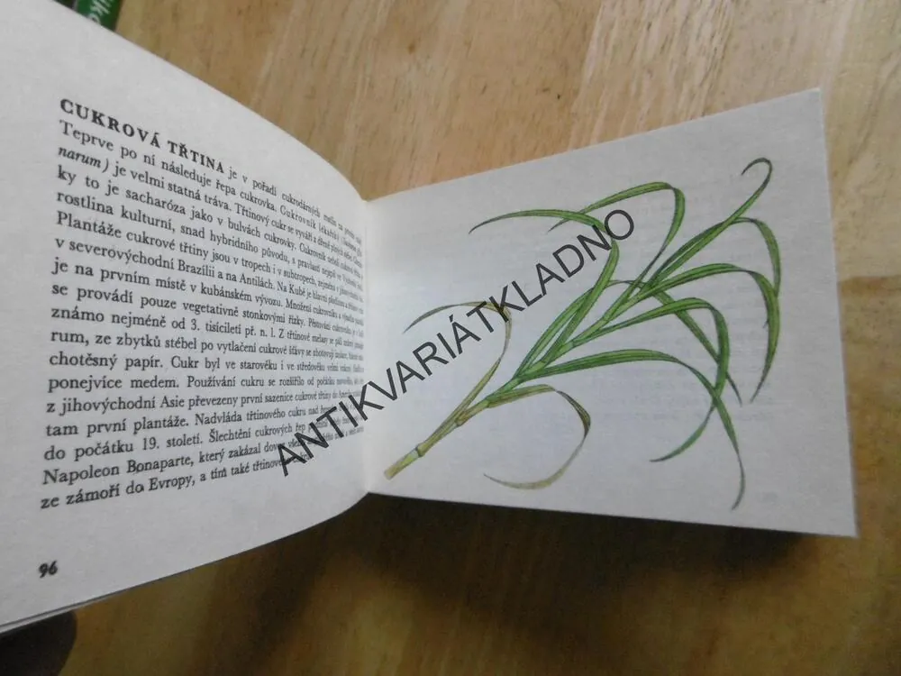 ROSTLINY ZNÁMÉ NEZNÁMÉ, JIRÁSEK, PROCHÁZKA, EDICE OKO 28, **an
