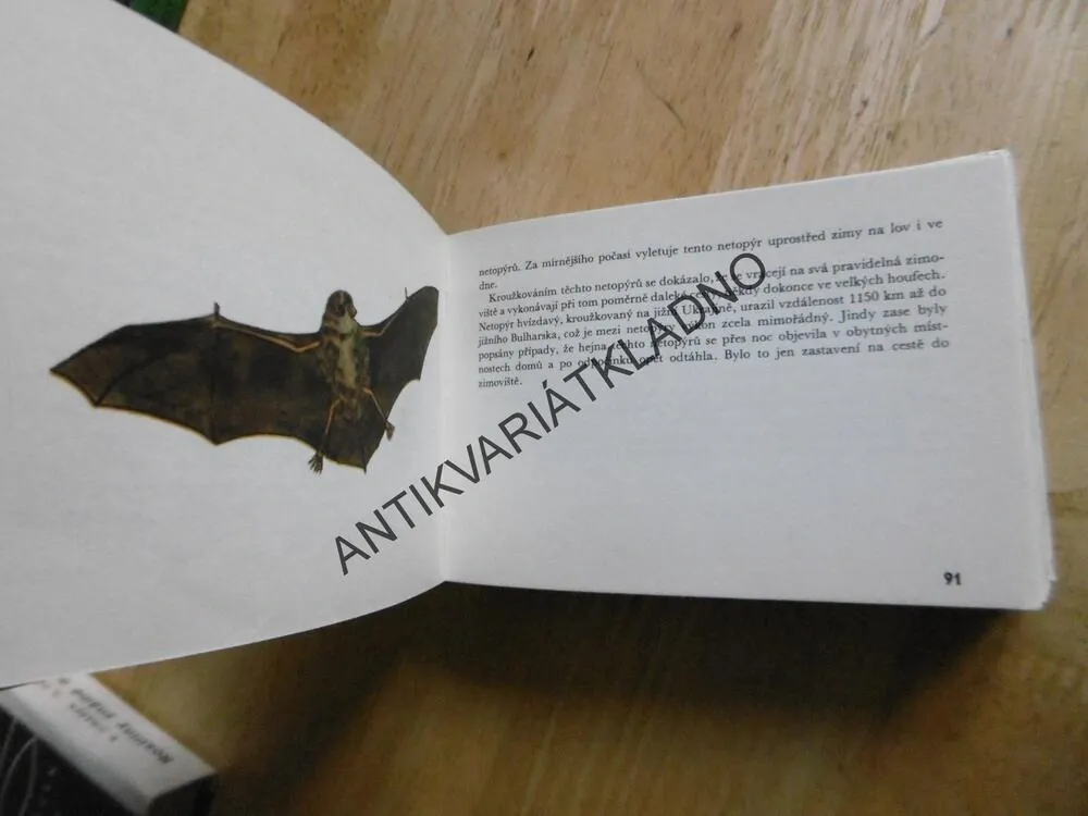 NAŠI SAVCI, HANZÁK, ČERNÁ, MAZÁK, EDICE OKO 26, **an