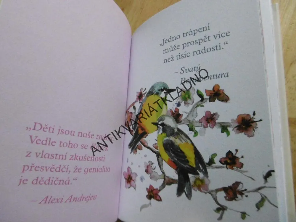 RADOST, **an