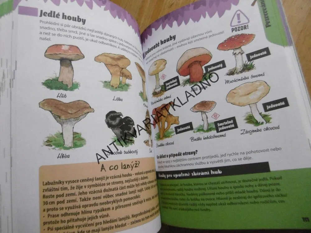MALÝ TÁBORNÍK, VESELÝ PRŮVODCE PŘÍRODOU PRO DĚTI, **an