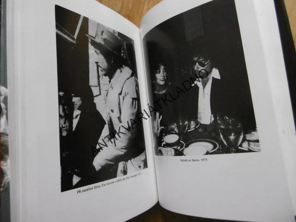 BOB DYLAN, CLINTON HEYLIN, **an