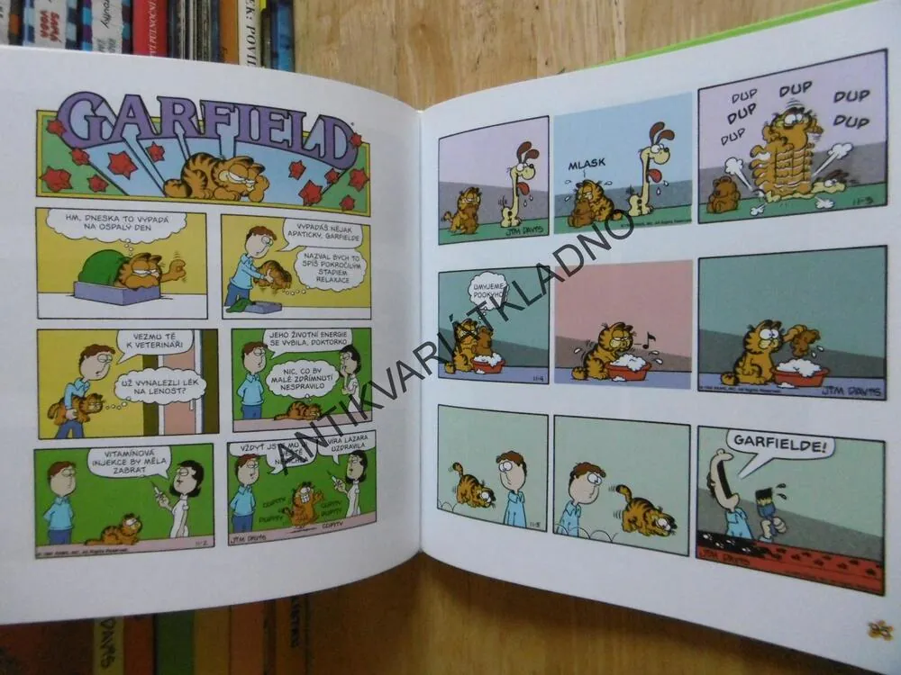 GARFIELD V PLNÉ PARÁDĚ, JIM DAVIS, **an