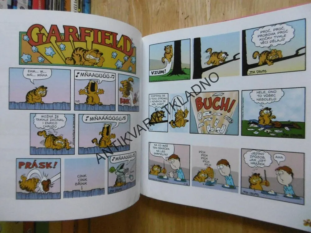 GARFIELD SE VYBARVUJE, JIM DAVIS, **an