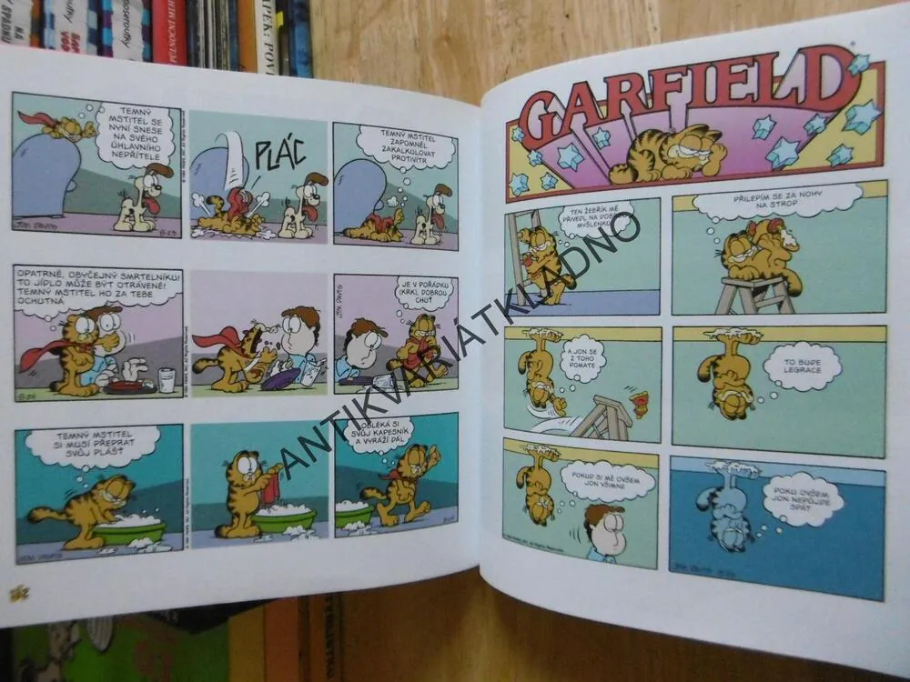 GARFIELD O DVOU CHODECH, JIM DAVIS, **an