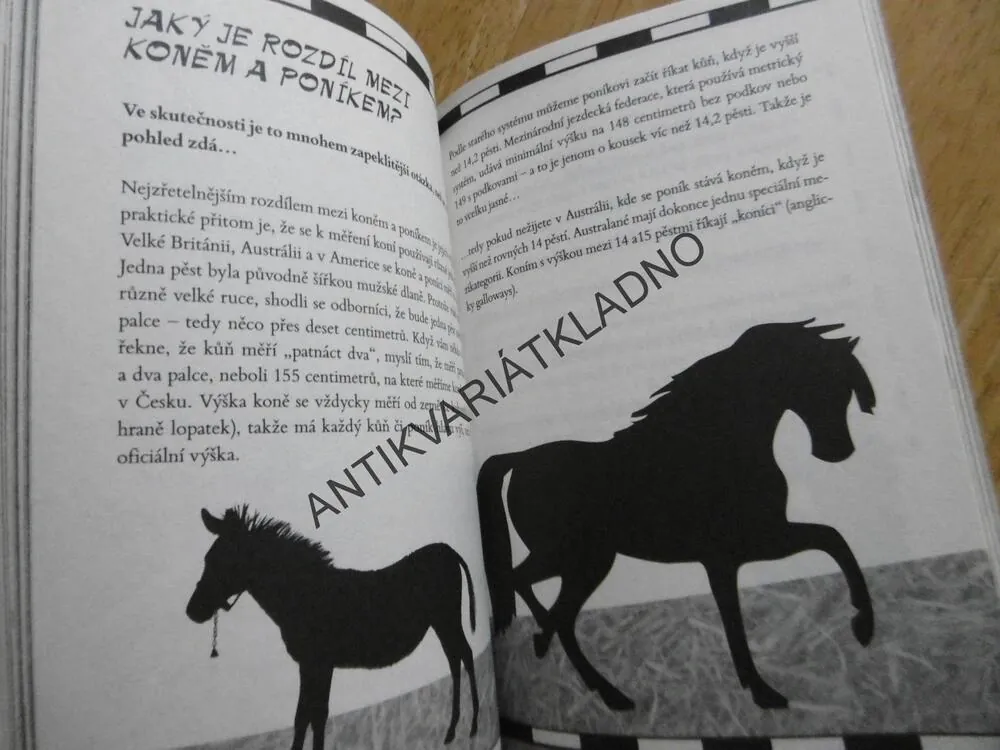 JAK ROZEZNAT HOLINKY OD HODINEK, TRACEY TURNEROVÁ, **an