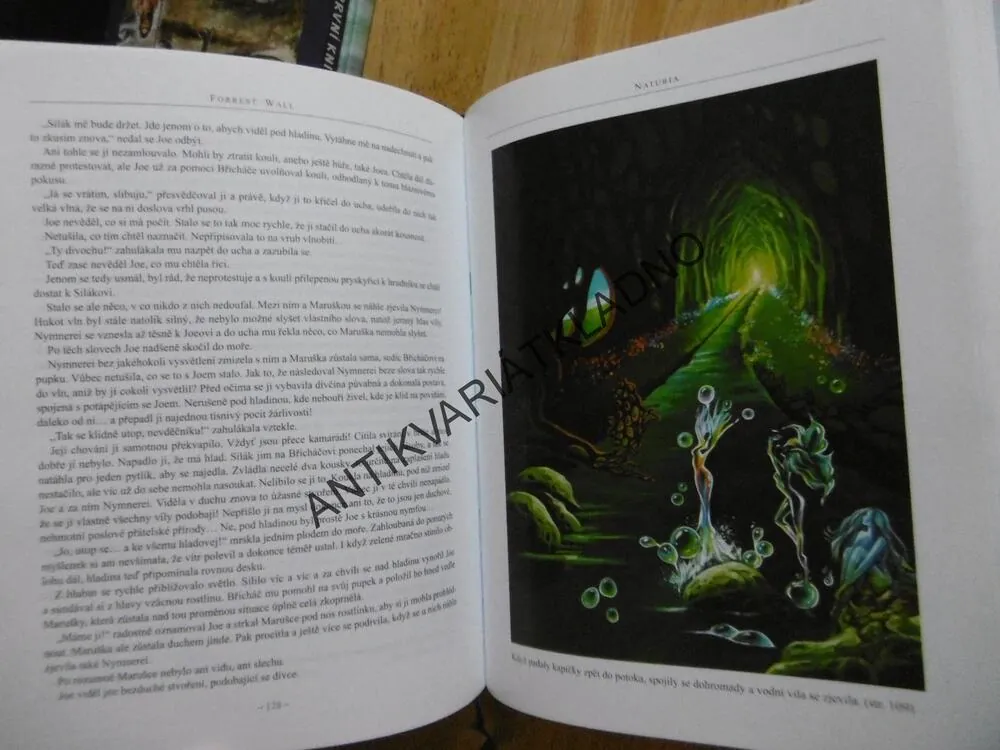 NATURIA, DOBRODRUŽSTVÍ NA PLANETĚ ZÁZRAKŮ, FORREST WALL, **an