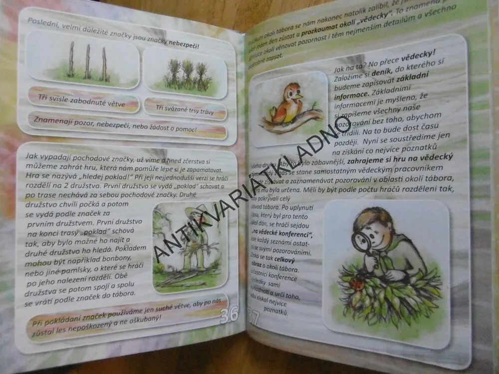 PRVNÍ KROKY SKAUTA, **an