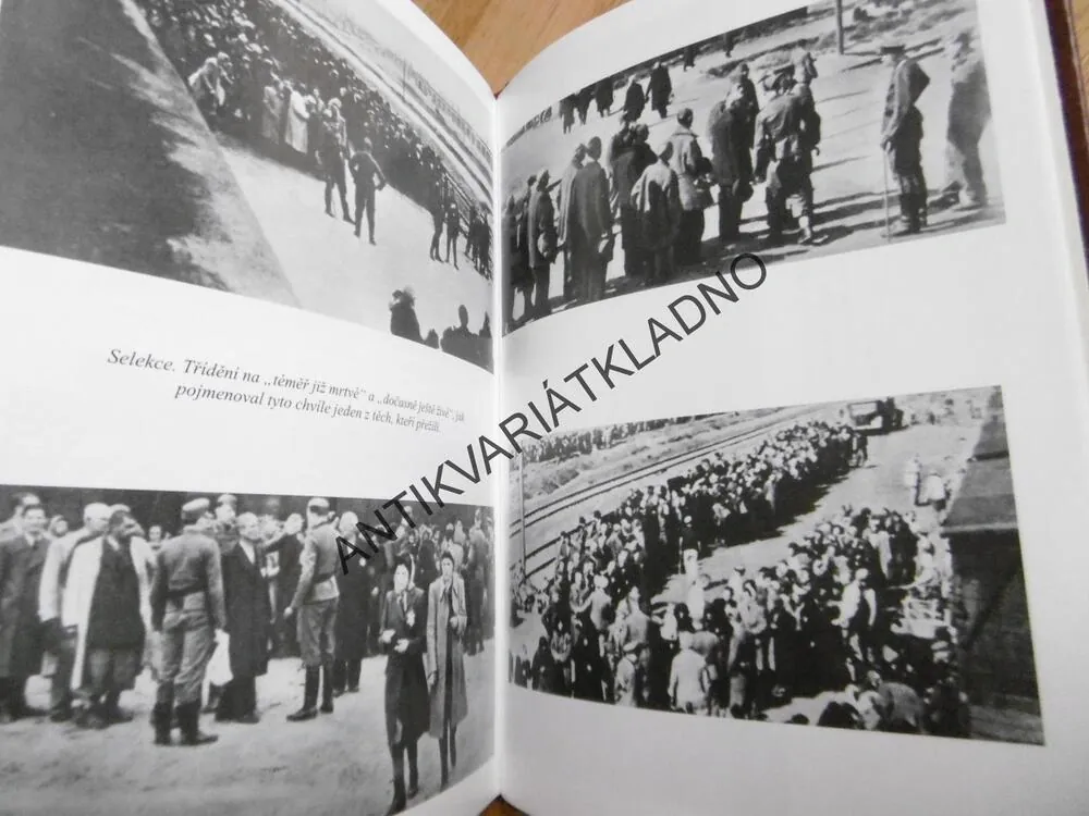 HOLOCAUST... A BŮH TEHDY MLČEL, ROMAN CÍLEK