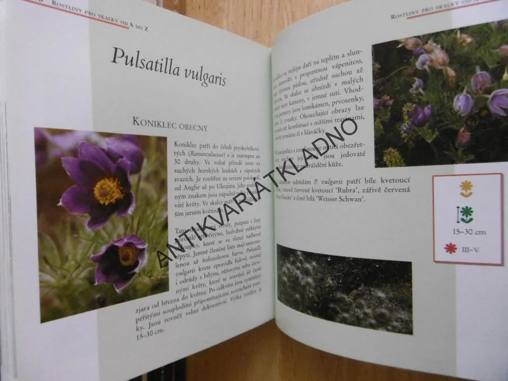 SKALNIČKY, ZALOŽENÍ SKALKY, HERMANN HACKSTEIN, **an