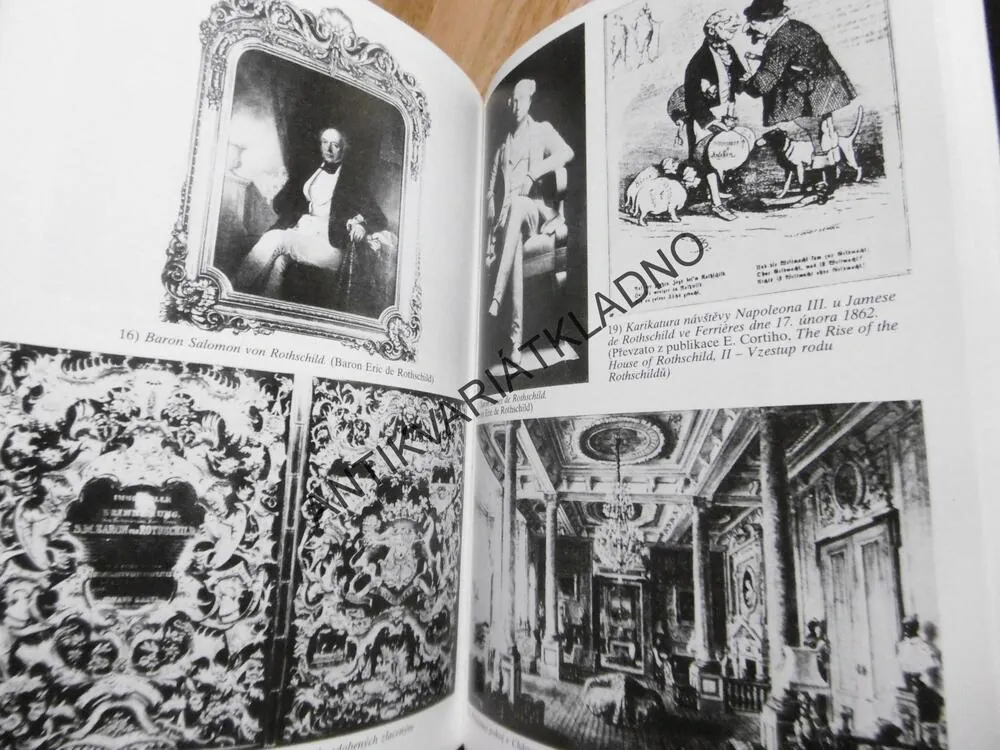 ROTHSCHILDOVÉ, PŘÍBĚH BOHATSTVÍ A MOCI, DEREK WILSON